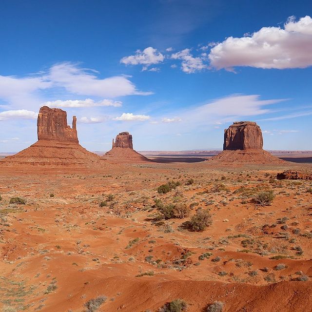 Monument Valley, Valley of the Godsâ¦ et le chat trop mignon de notre Airbnb !

ð¥¾ Rando : la Wildcat Trail fait le tour de la West Mitten Butte (celle de gauche sur la plupart des photos) en ~6km.

ð¸ 8$ par personne pour entrÃ©e dans le parc, gÃ©rÃ© par les Navajo (pas inclus dans le pass Â«Â America The BeautifulÂ Â»).

#monumentvalley #monumentvalleynavajotribalpark #valleyofthegods #roadtripusa #lesfranÃ§aisvoyagent #utahroadtrip #monumentvalleynationalpark #experienceutah #nationalpark #wildcattrail