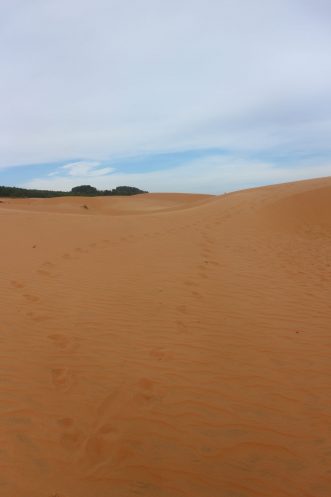 IMG_3805