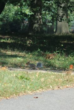 IMG_8724