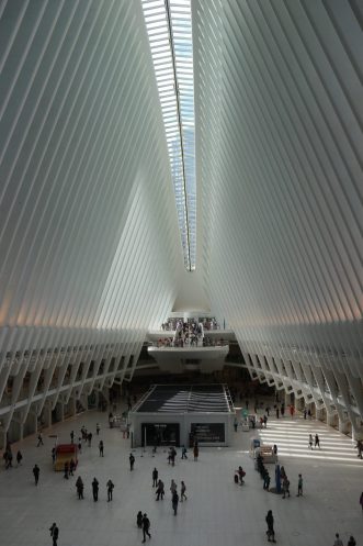 IMG_8357