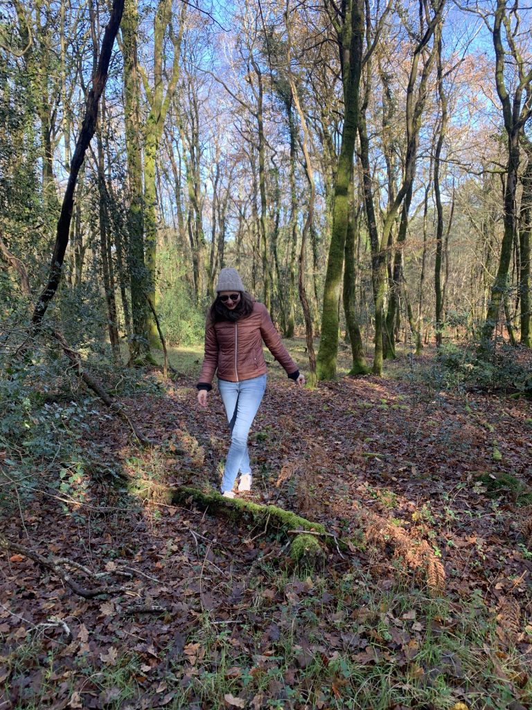 Pour randonner autour de Nantes, RDV dans la forêt de Touffou à Vertou !