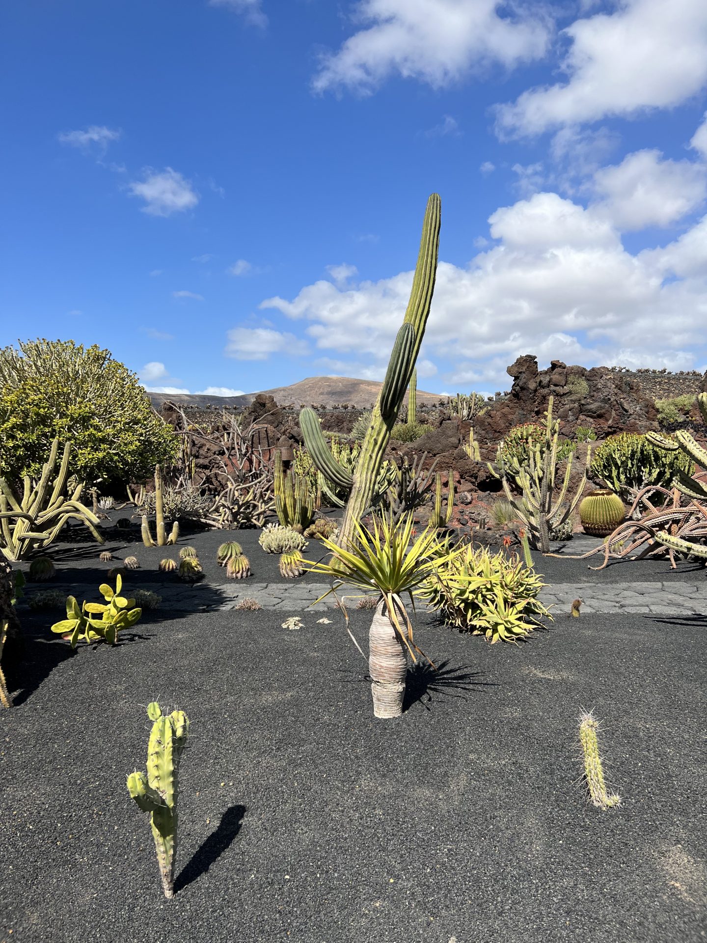 Une semaine à Lanzarote en mars Ohmaroute