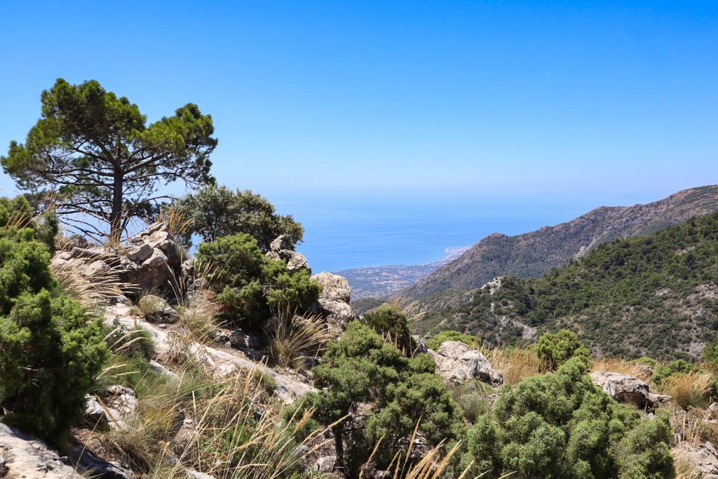 Une randonnée autour de Malaga