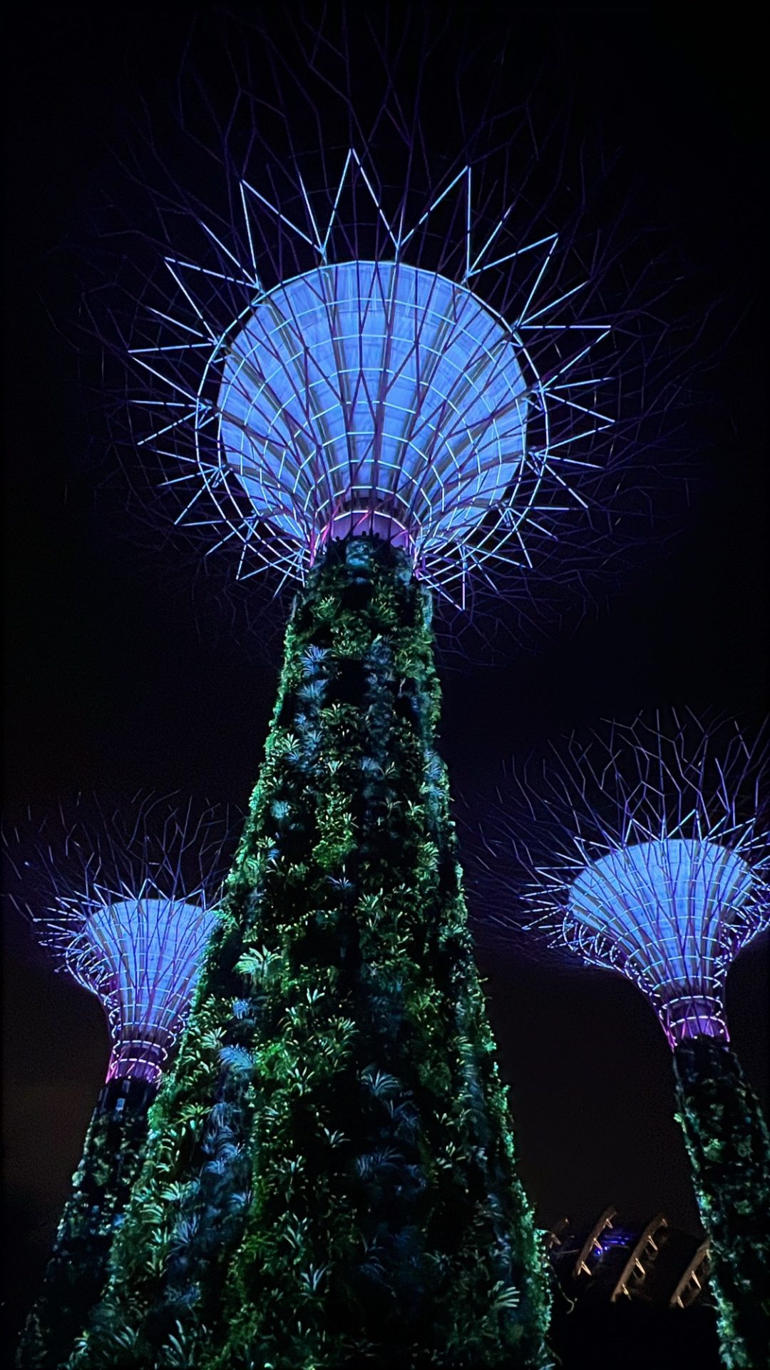 Une semaine à Singapour en août : à la découverte des SuperTrees de Gardens by the Bay